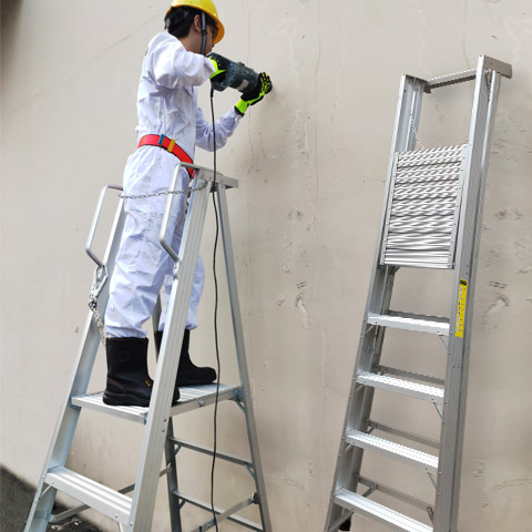 Ladder